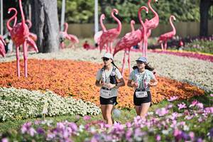 BIB: 
                            <button type="button" onclick="openModal(27793528)" class="btn btn-primary btn-sm float-right btn-popup" data-toggle="modal" data-target=".modal-high-quality">
                        <i class="fas fa-shopping-cart"></i> Add to Cart
                    </button>
                                            <button type="button" onclick="isThisMe(27793528, true)" class="btn btn-success btn-sm float-right btn-popup btn-isme hidden" data-toggle="tooltip" data-placement="bottom" title="นี่คือรูปของคุณใช่ไหม คลิกที่นี่เพื่อเอาเข้าอัลบั้ม">
                        <i class="fas fa-plus"></i> Add to album
                    </button>
                    <button type="button" onclick="isThisMe(27793528, false)" class="btn btn-warning btn-sm float-right btn-popup btn-isnotme hidden">
                        <i class="fas fa-ban"></i> Remove from album
                    </button>